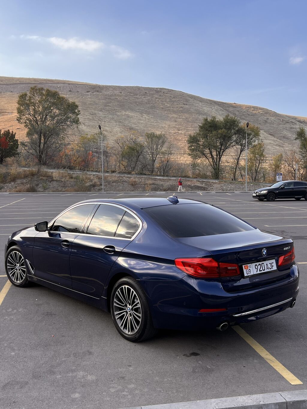 BMW 5 series: 2019 г., 2 л, Автомат, Бензин, Седан: фото 4
