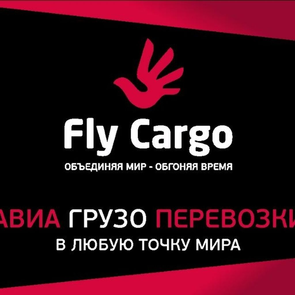 Модельное агентство fly