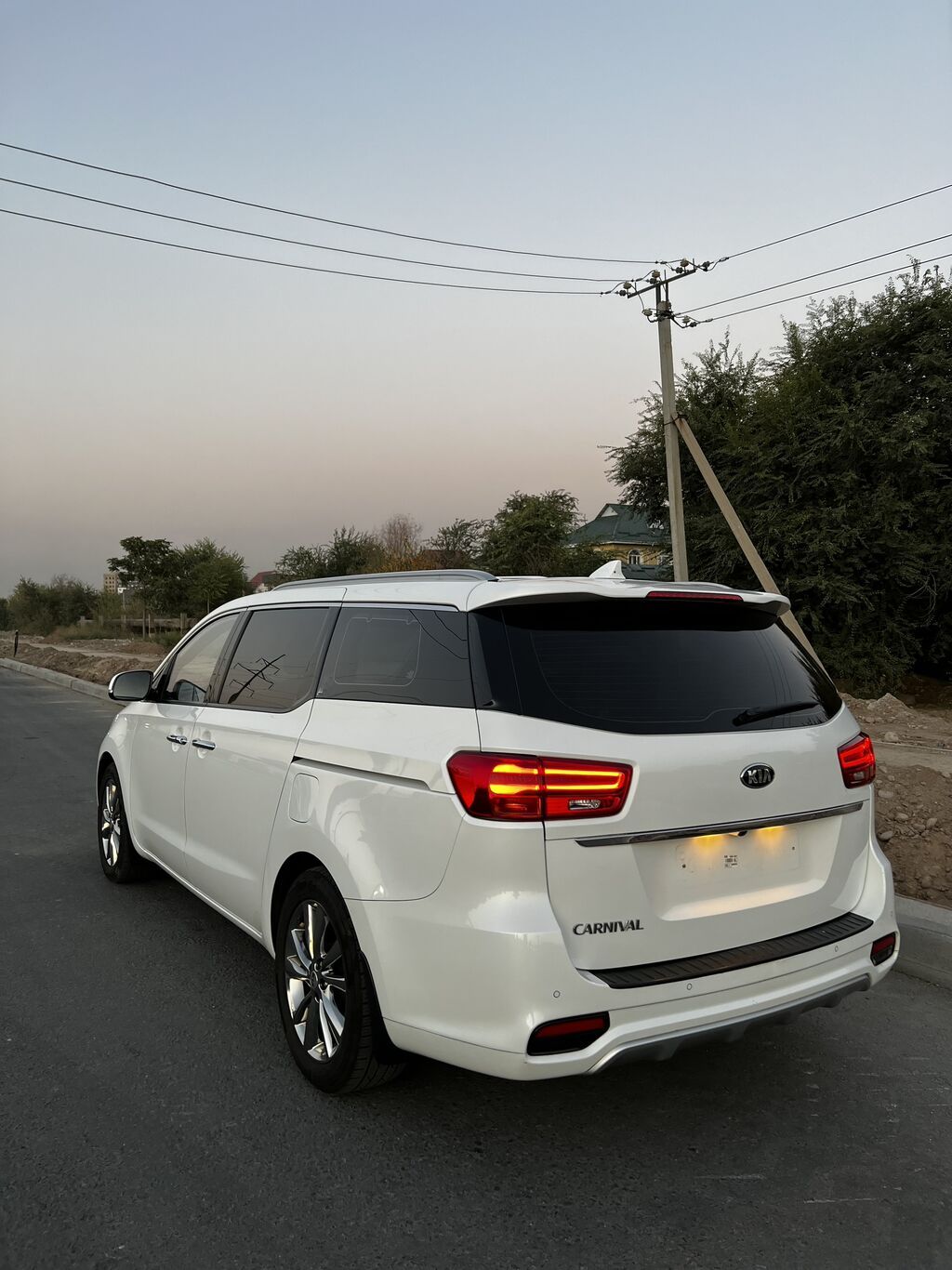 Kia Carnival: 2019 г., 2.2 л, Автомат, Дизель, Минивэн: фото 7