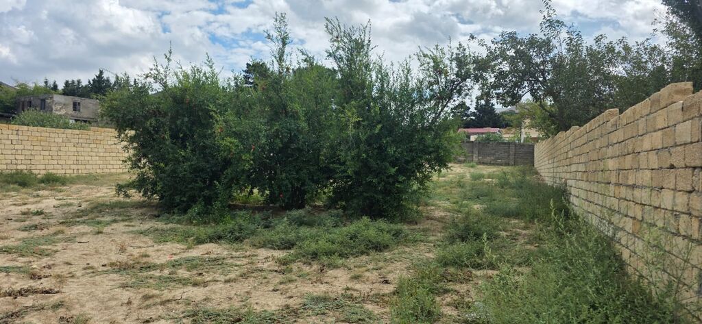 4 sot, Tikinti, Mülkiyyətçi, Kupça (Çıxarış)