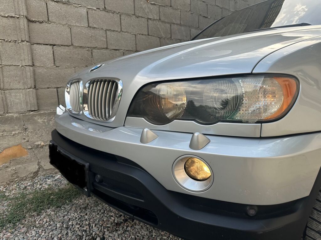 BMW X5: 2002 г., 3 л, Автомат, Дизель, Кроссовер: фото 6