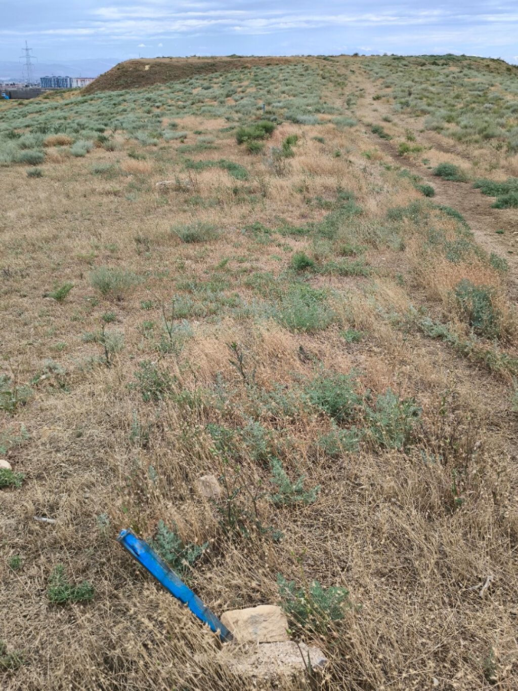 3 sot, Tikinti, Mülkiyyətçi, Kupça (Çıxarış)