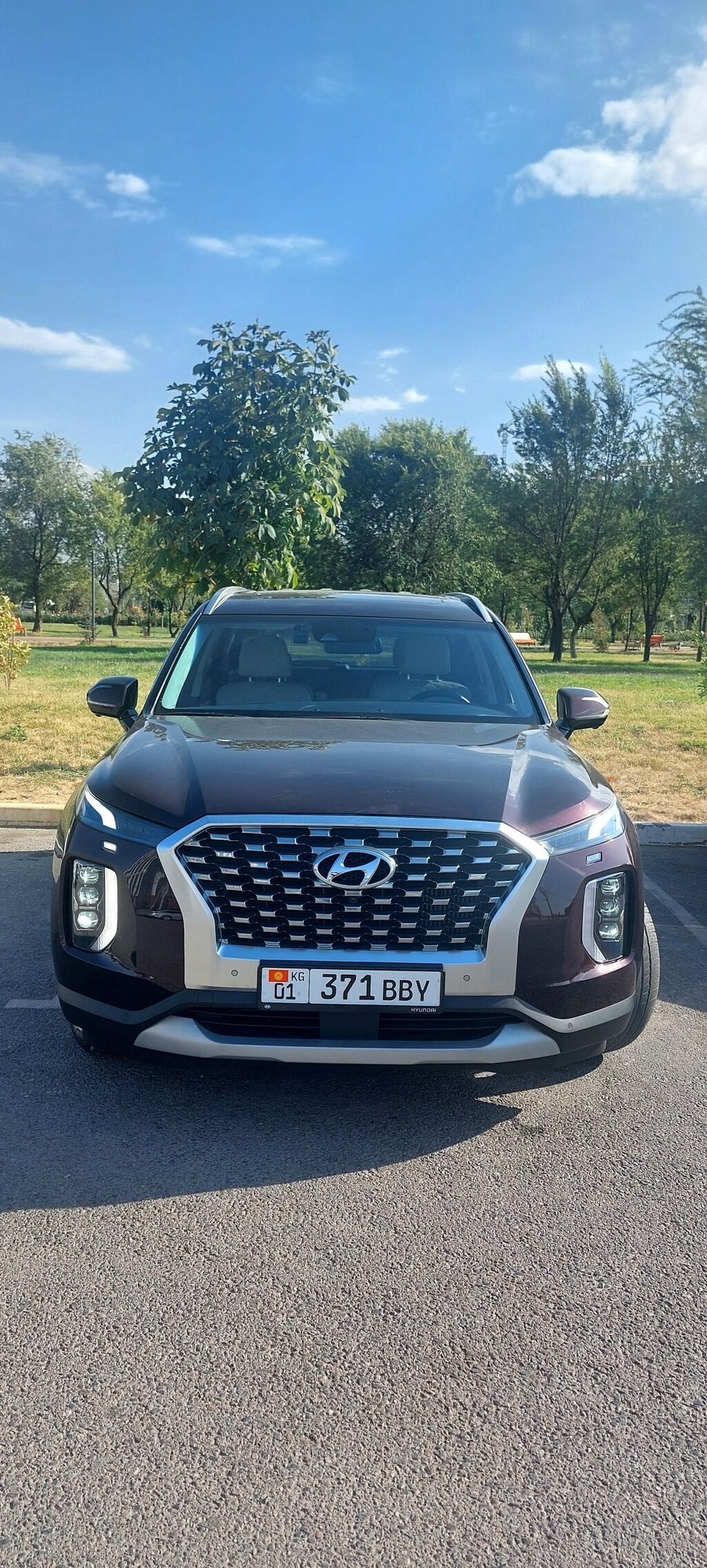 Hyundai Palisade: 2020 г., 2.2 л, Автомат, Дизель, Кроссовер: фото 3