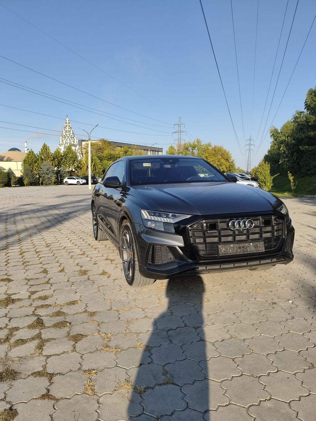 Audi Q8: 2019 г., 3 л, Автомат, Бензин, Кроссовер: фото 2