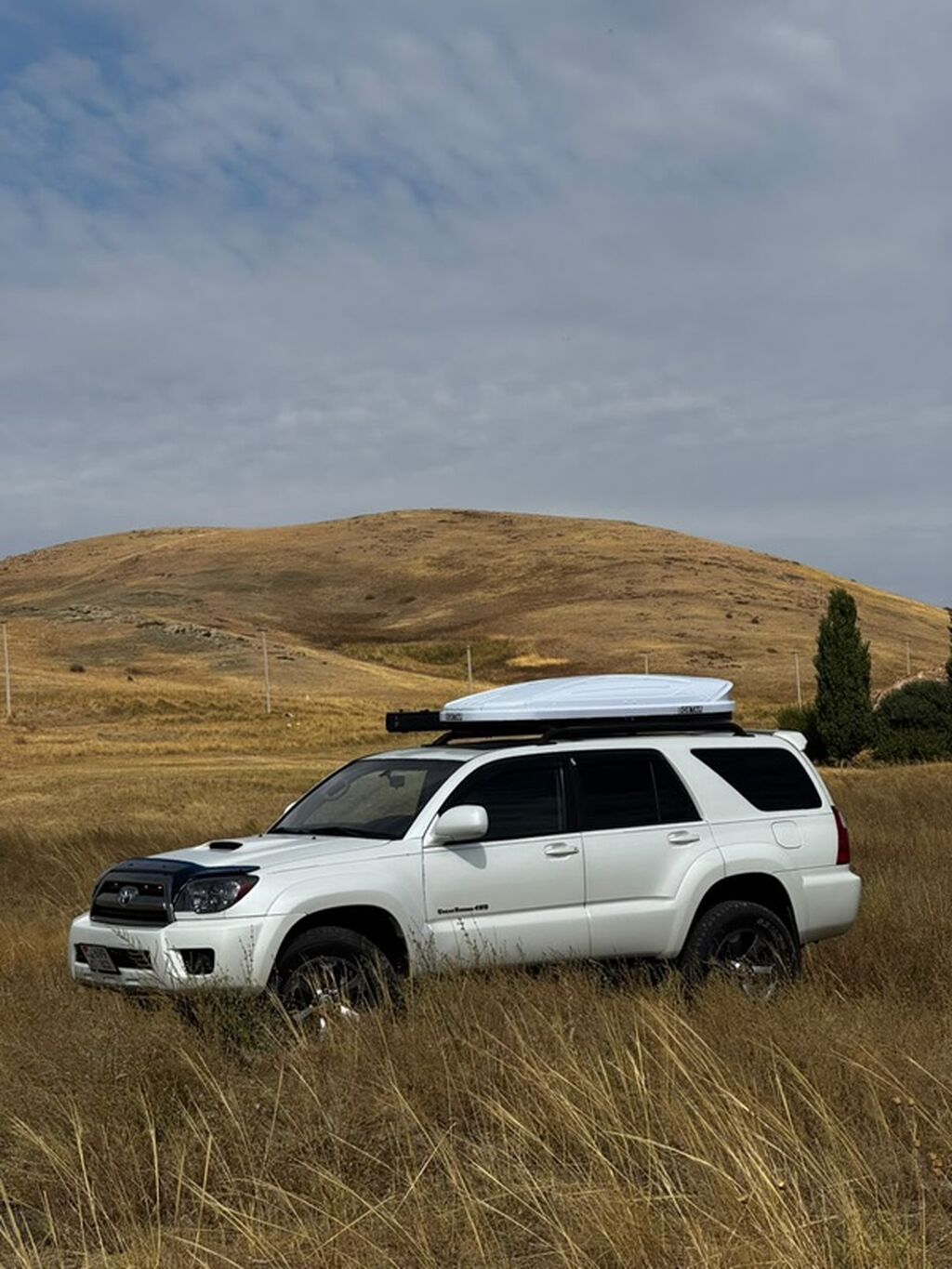 Toyota 4Runner: 2008 г., 4 л, Бензин, Внедорожник: фото 3