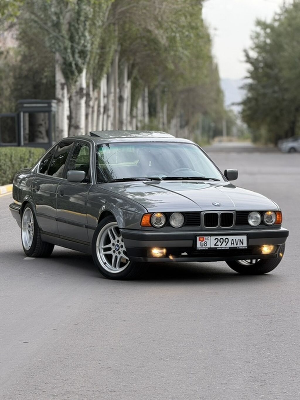 BMW 5 series: 1991 г., 2.5 л, Механика, Бензин, Седан: фото 1