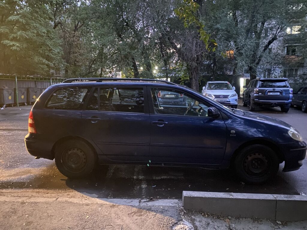 Toyota Corolla: 2003 г., 1.6 л, Механика, Бензин, Универсал: фото 3