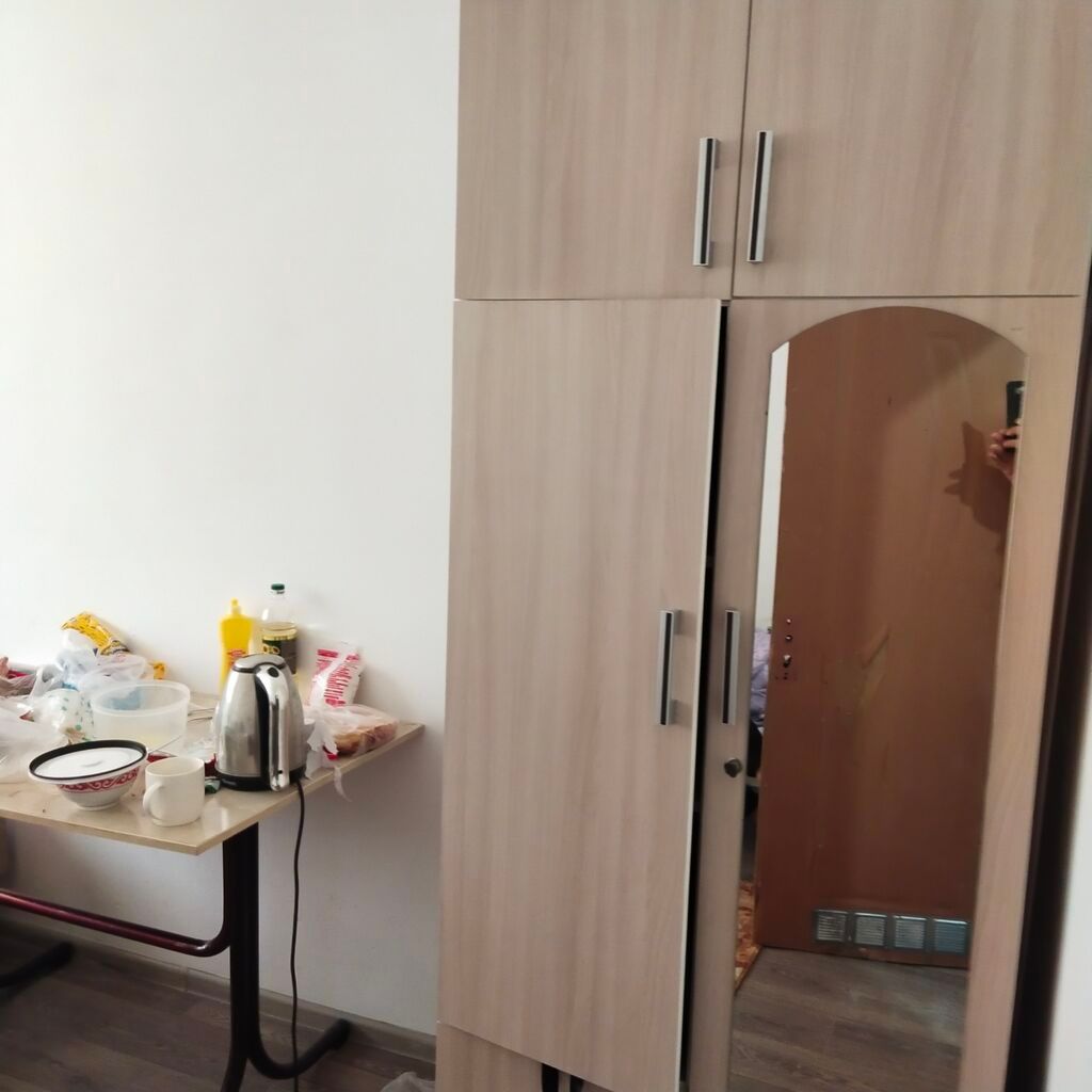 18 м², С мебелью: фото 6