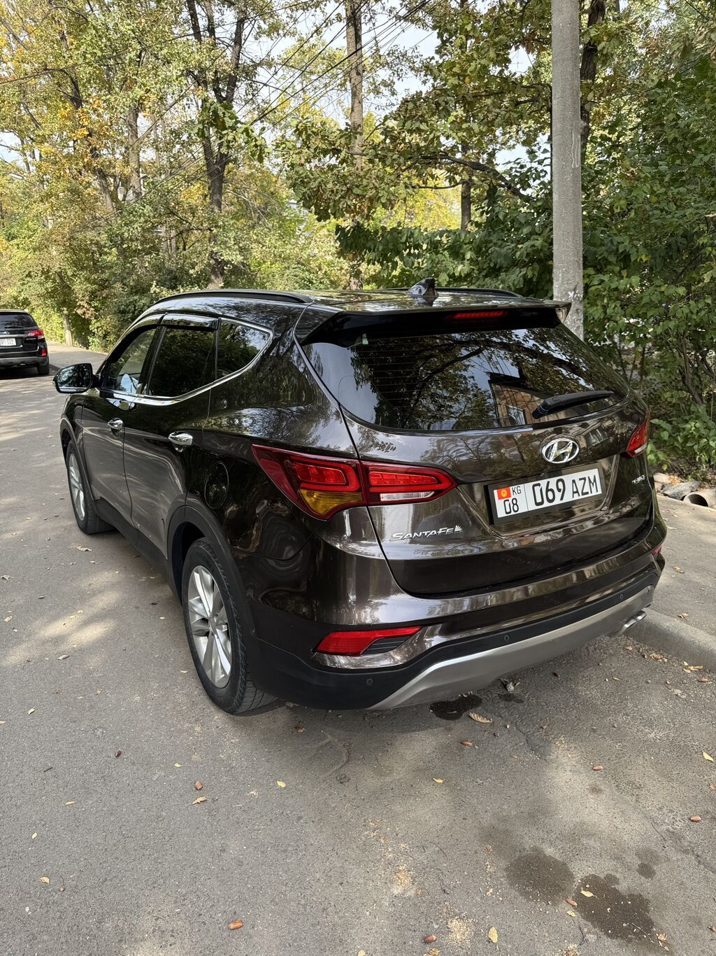 Hyundai Santa Fe: 2016 г., 2 л, Автомат, Дизель, Кроссовер: фото 6