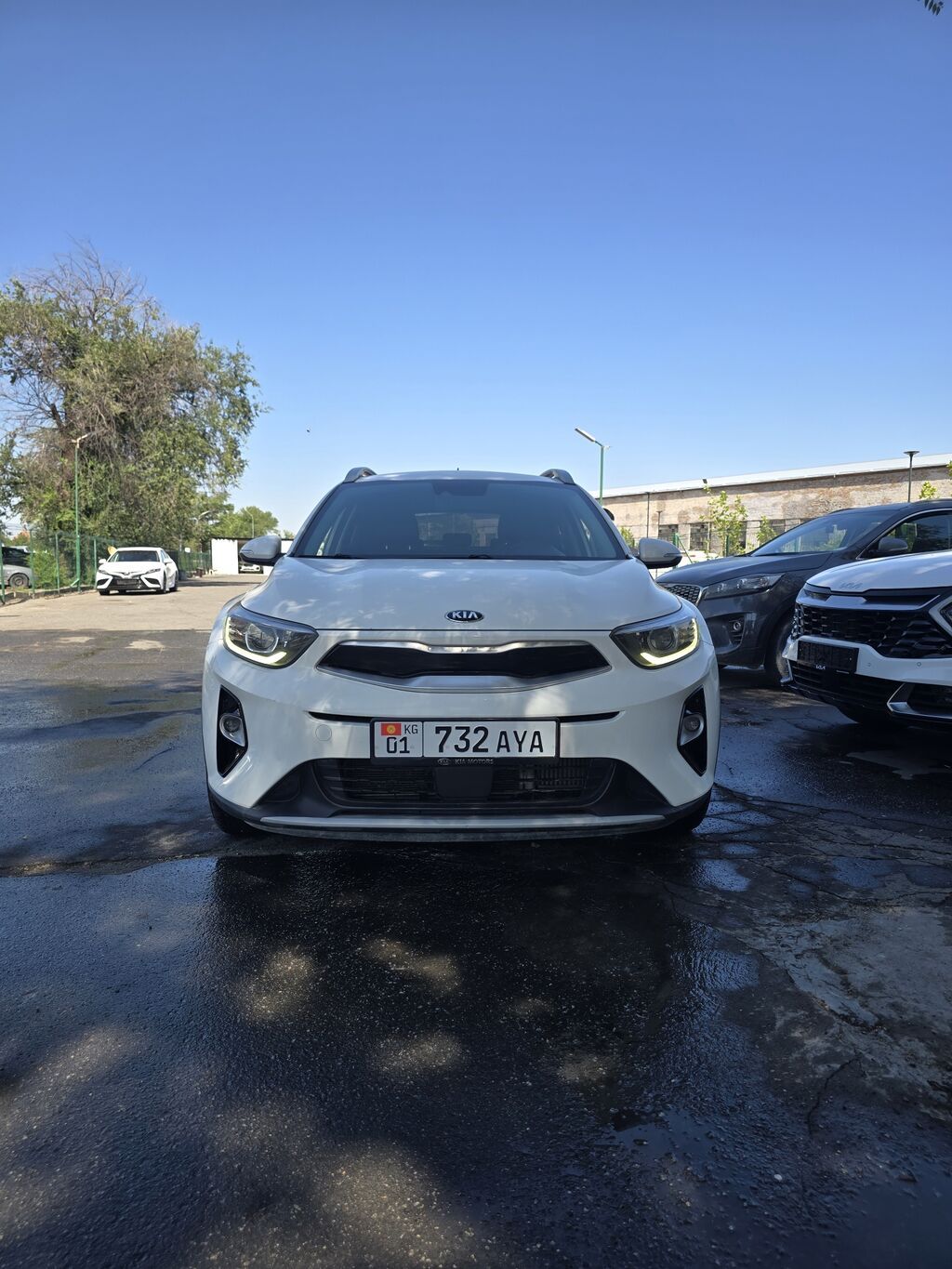 Kia Stonic: 2018 г., 1.6 л, Автомат, Дизель, Универсал: фото 1