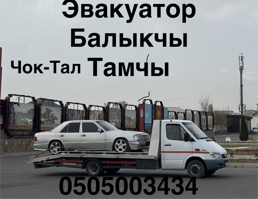 С лебедкой