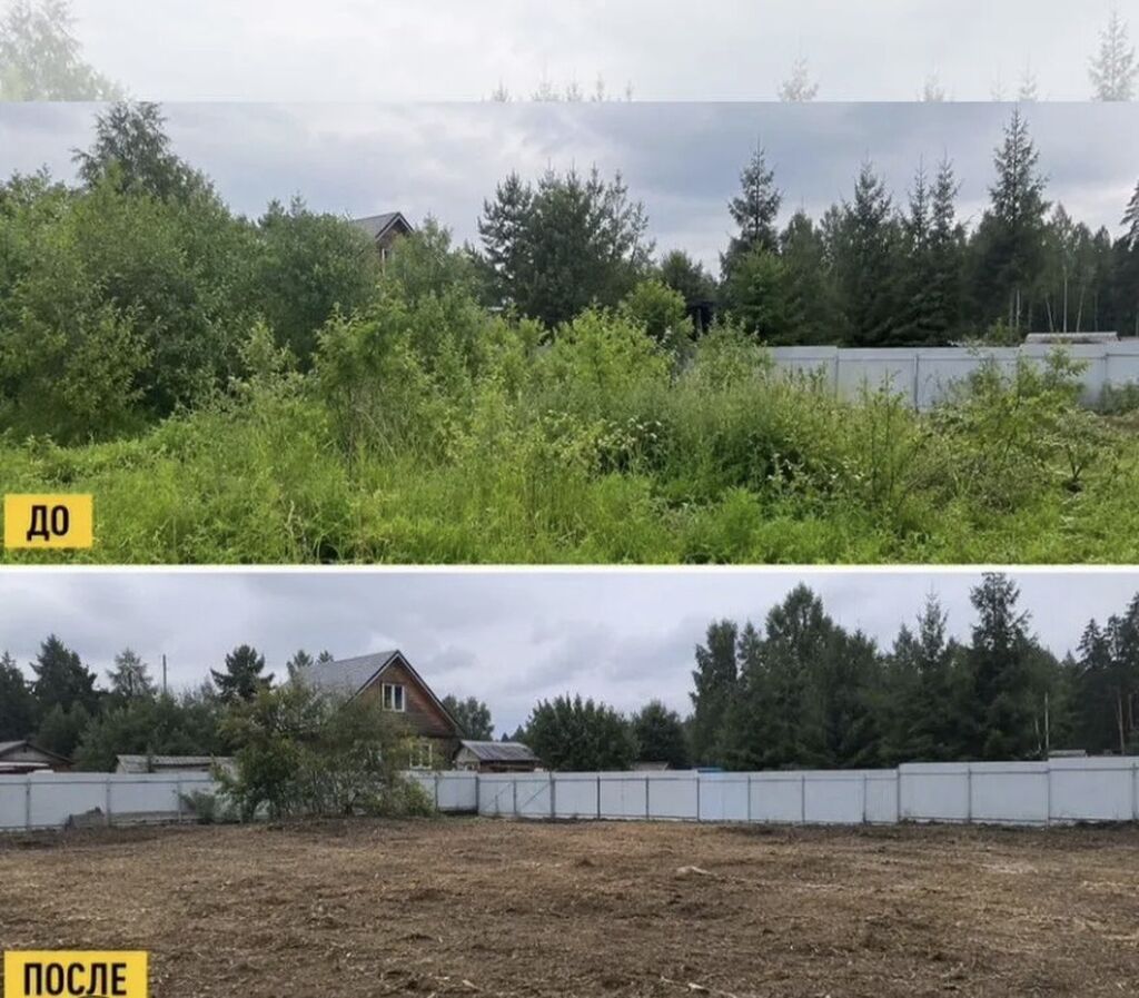 Уборка территории, Стрижка газона: фото 3