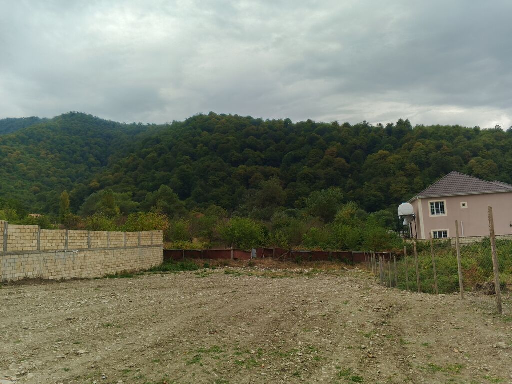 Tikinti