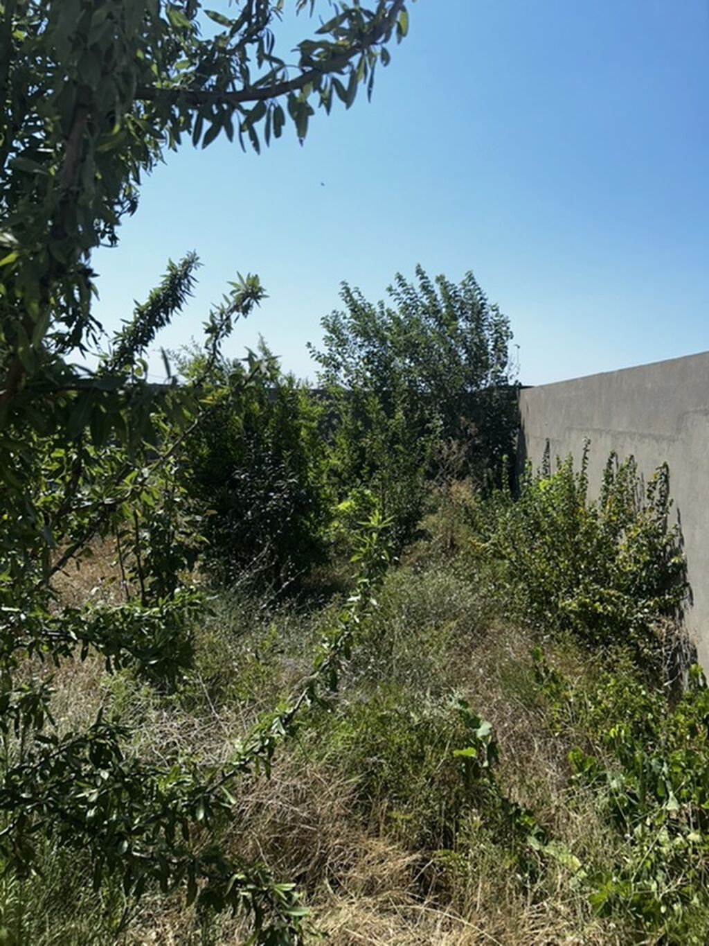 Nardaran qəs. 4 otaqlı, 180 kv. m, Kredit yoxdur, Orta təmir