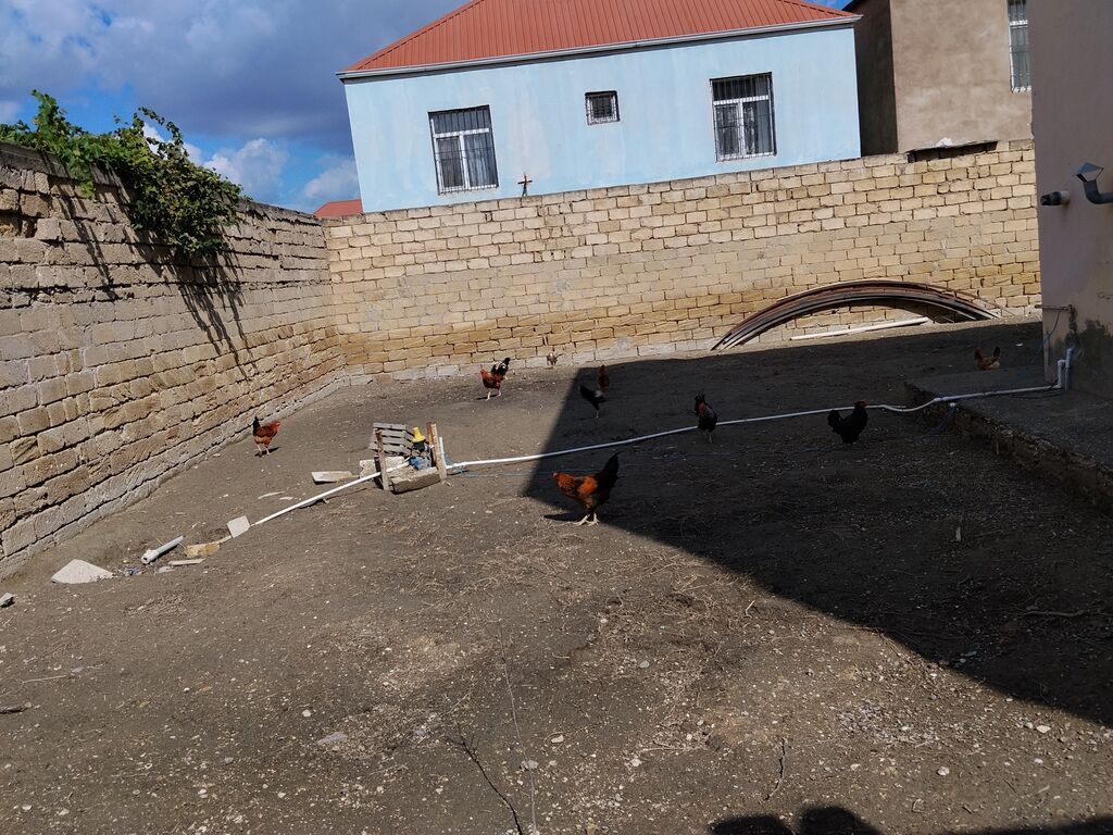 Həyət evi, 6 otaqlı, 175 m², satılır, Digah — 21