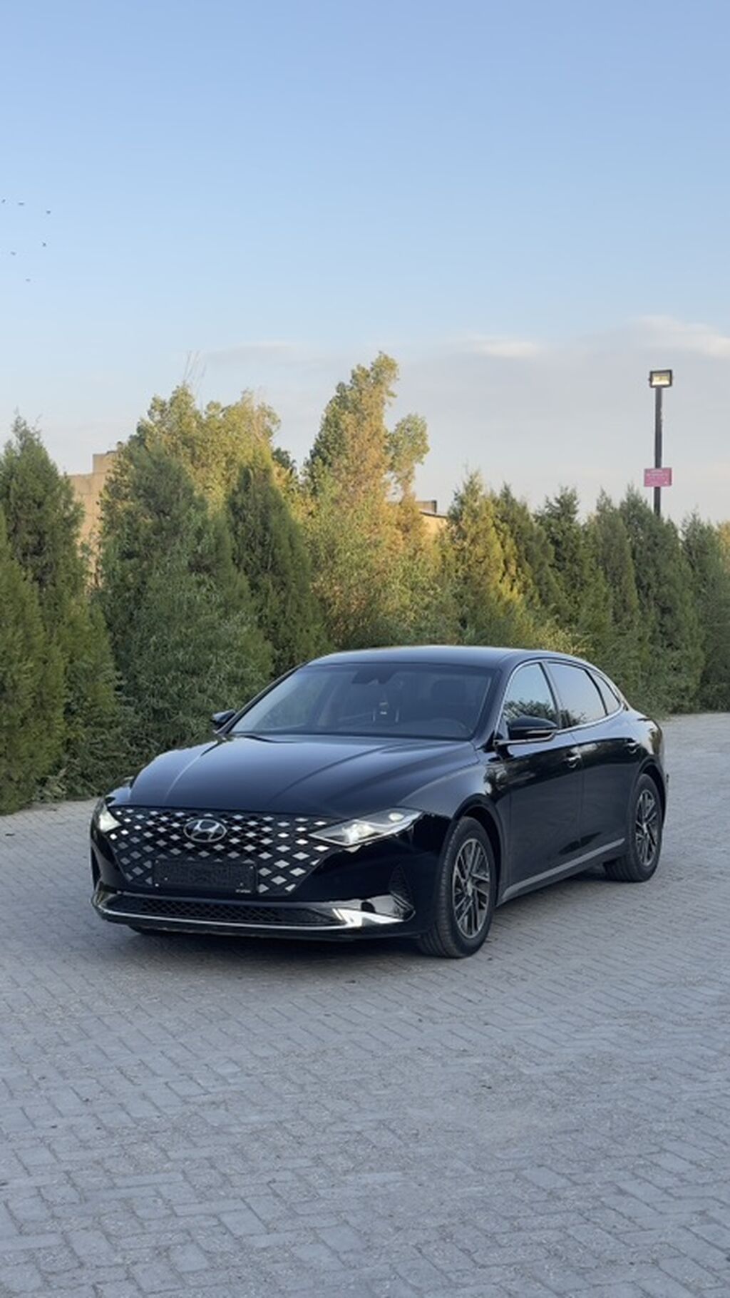 Hyundai Grandeur: 2020 г., 3 л, Автомат, Газ, Седан: фото 1