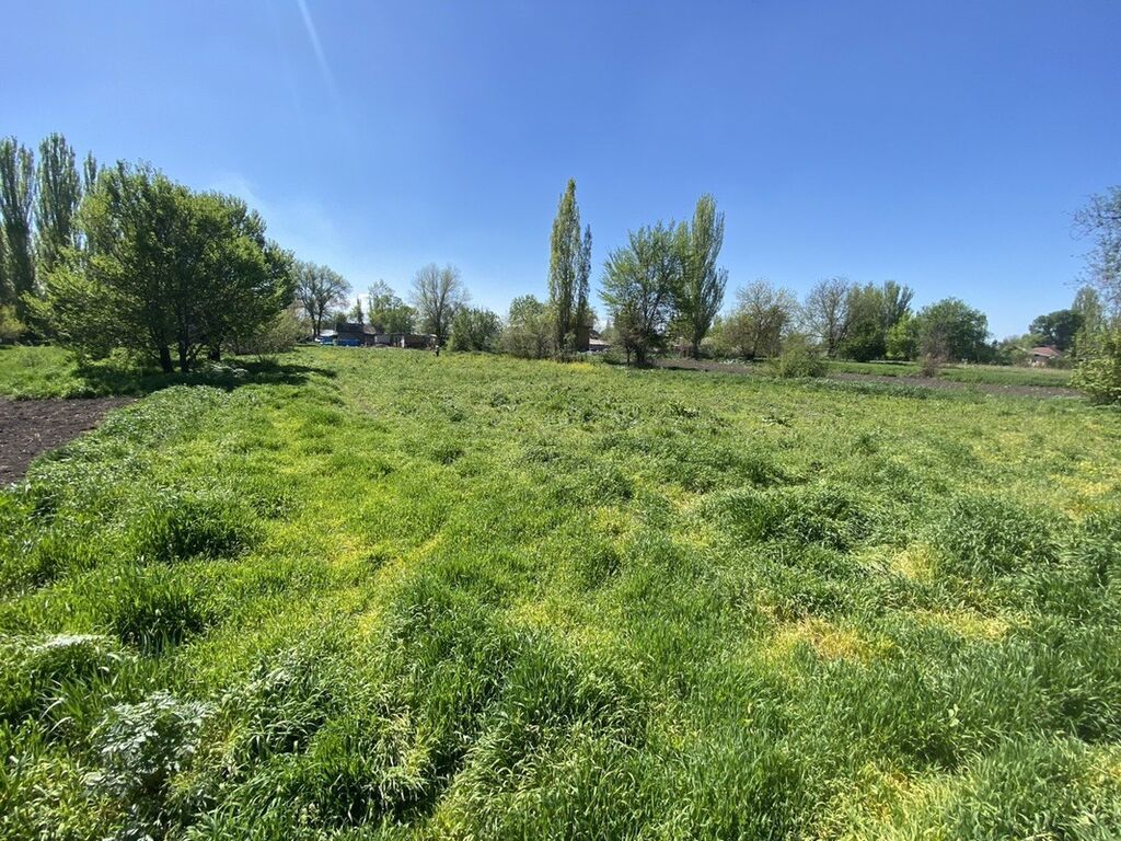 Продам земельный участок 29.5 соток в с. Петровка: фото 4