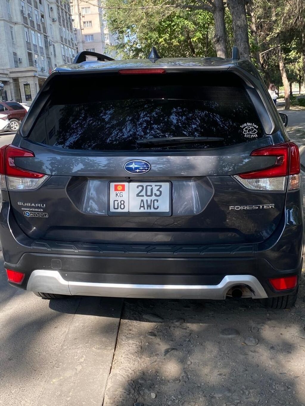 Subaru Forester: 2020 г., 2.5 л, Автомат, Бензин, Седан: фото 5