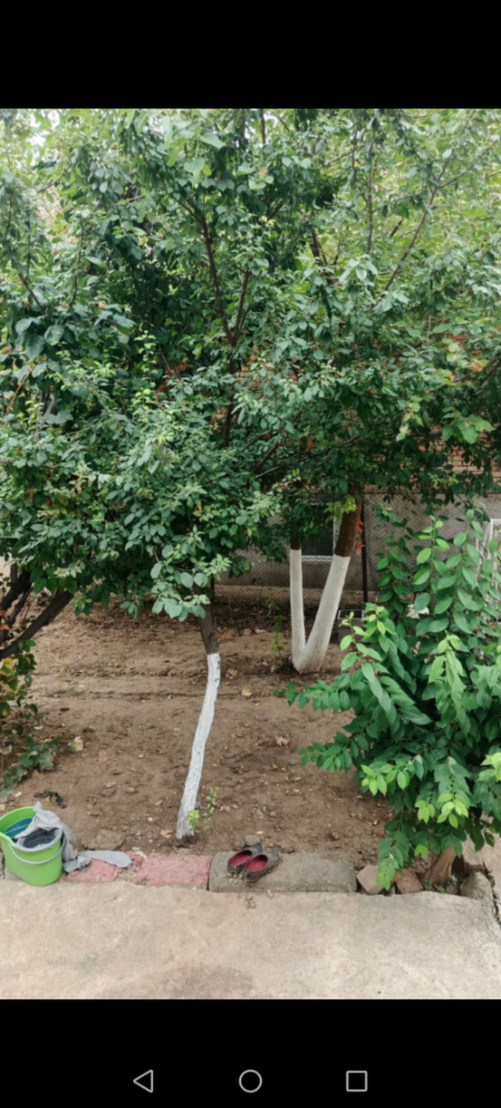 100 kv. m, 2 otaqlı, İşıq, Qaz, İnternet