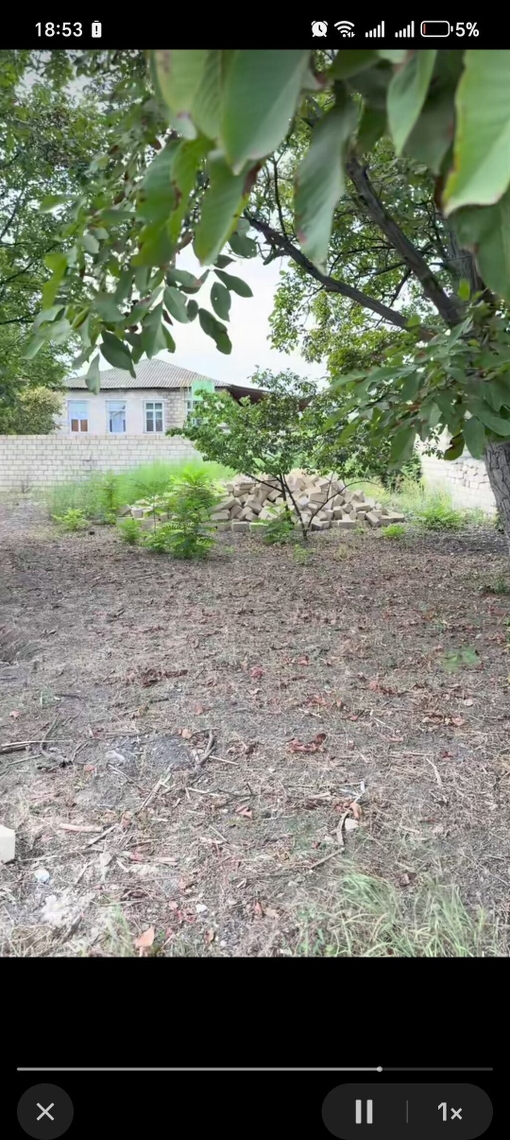 10 sot, Tikinti, Barter mümkündür, Kupça (Çıxarış)