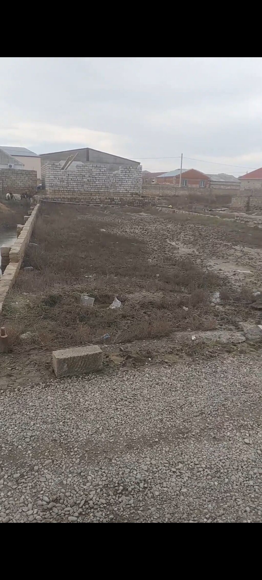 Tikinti, Kupça (Çıxarış)