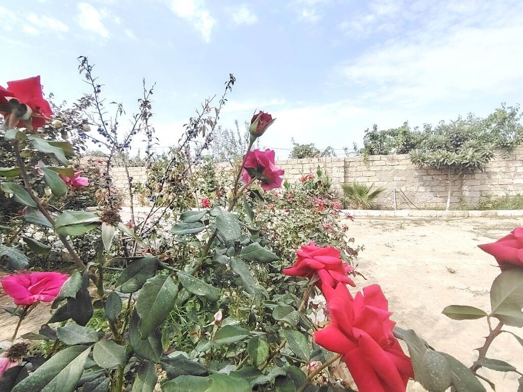 2 otaqlı, 82 kv. m, Yeni təmirli
