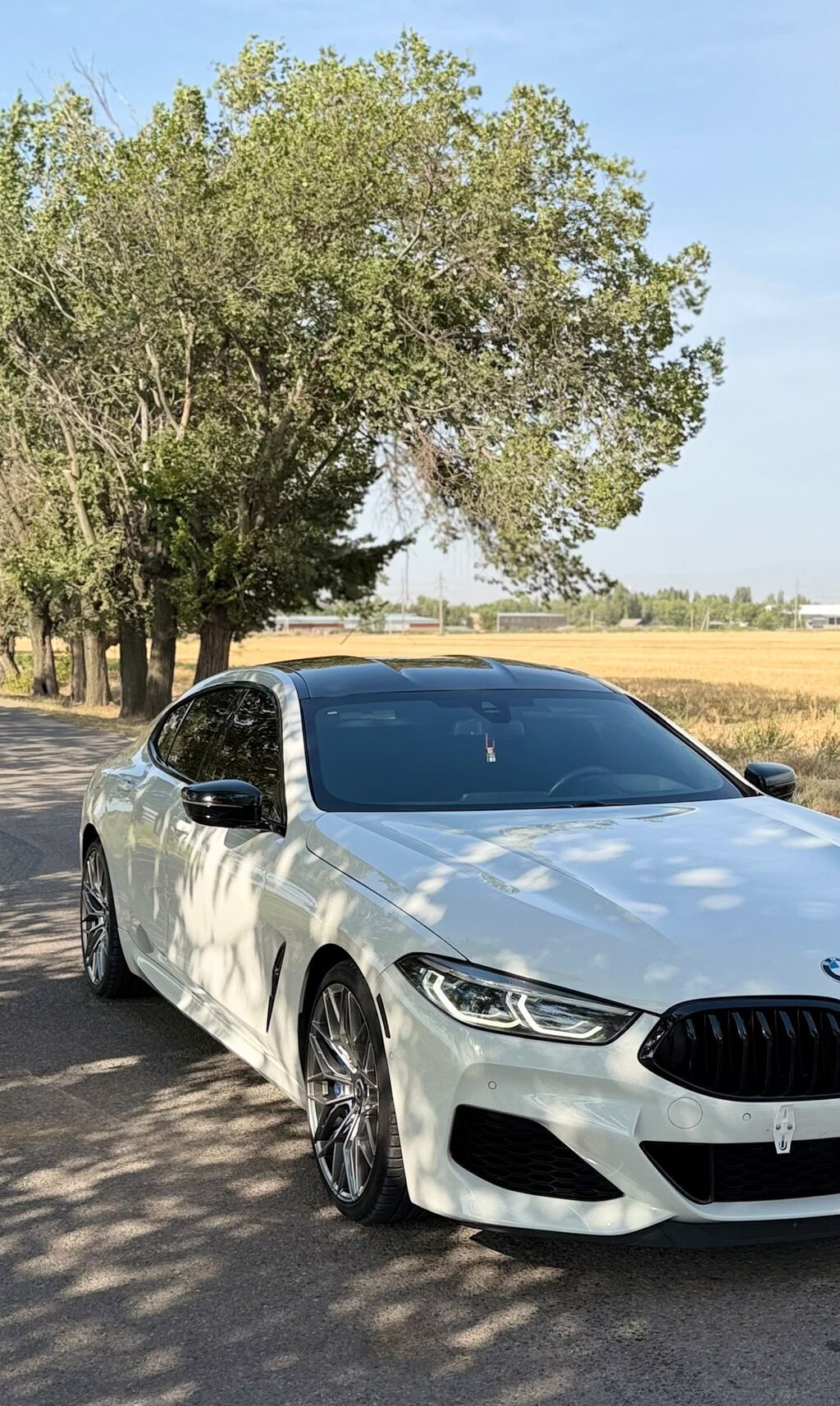 BMW 8 series: 2020 г., 4.4 л, Автомат, Бензин, Купе: фото 2