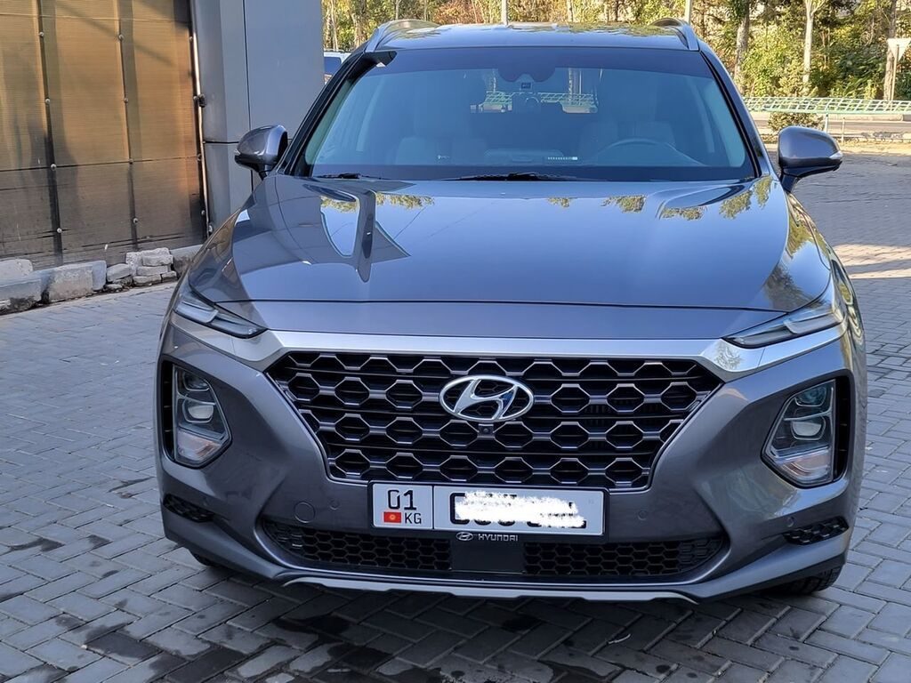 Hyundai Santa Fe: 2019 г., 2 л, Автомат, Бензин, Кроссовер: фото 1