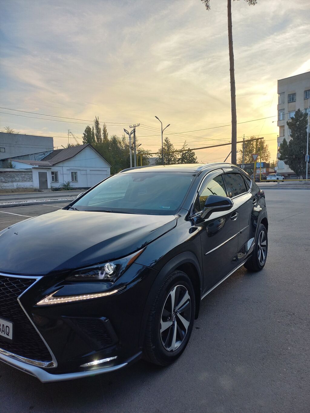 Lexus NX: 2019 г., 2.5 л, Автомат, Гибрид, Кроссовер: фото 8