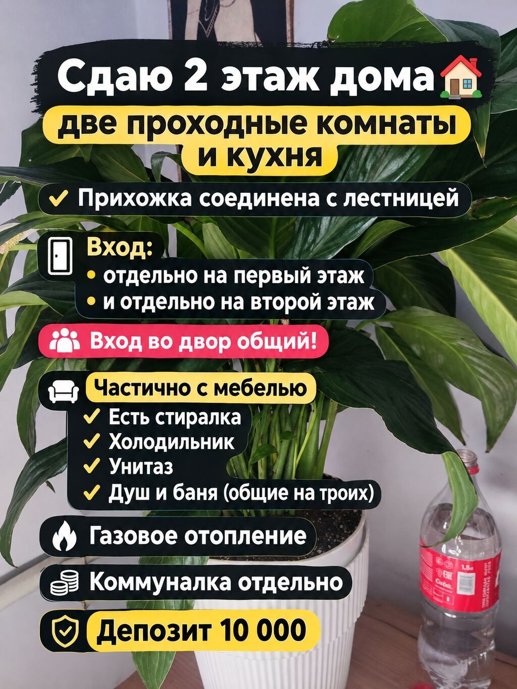 25 м², 2 комнаты, Юнусалиева/Суванбердиева, Без животных