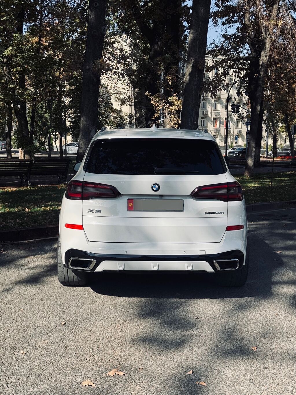 BMW X5: 2021 г., 3 л, Автомат, Бензин, Кроссовер: фото 6