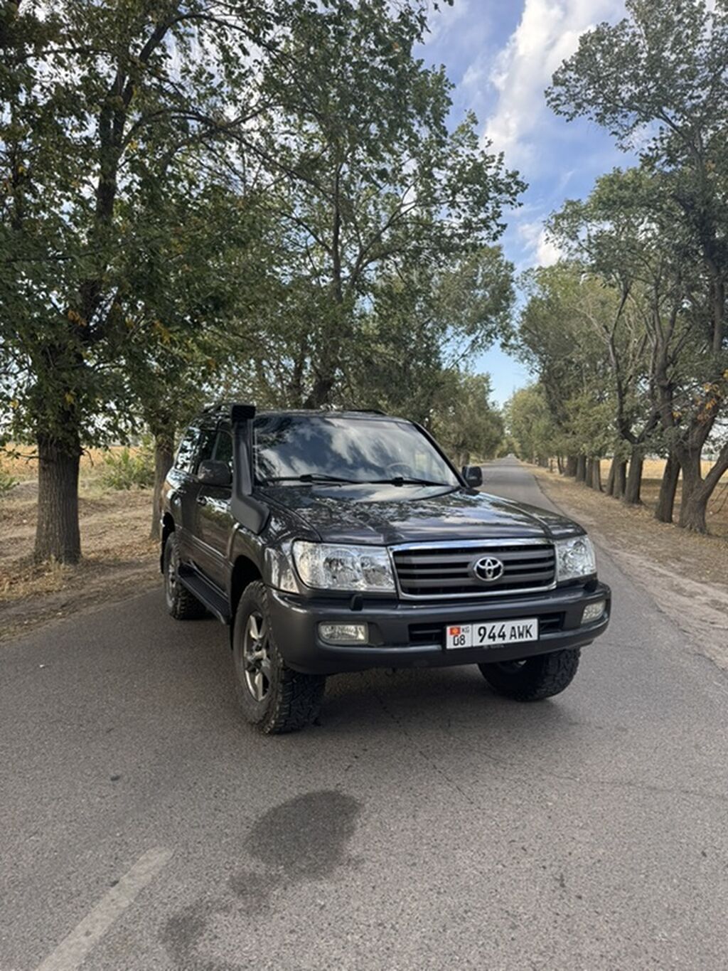 Toyota Land Cruiser: 2006 г., 4.2 л, Автомат, Дизель, Внедорожник: фото 1