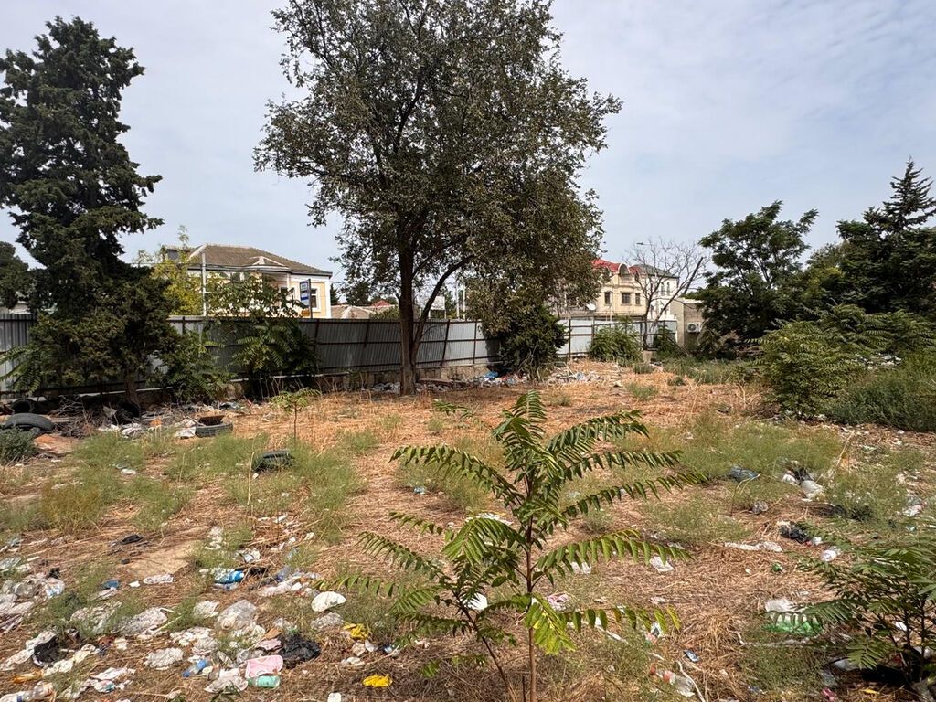 31 sot, Tikinti, Makler, Kupça (Çıxarış)