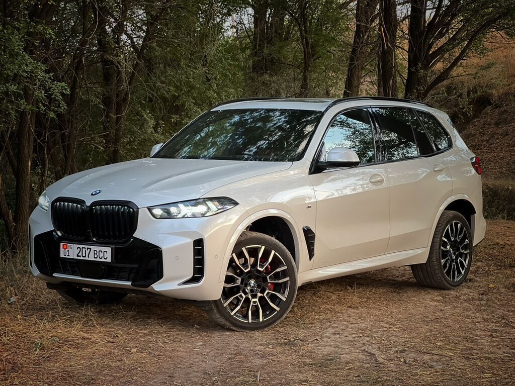 BMW X5: 2023 г., 3 л, Автомат, Бензин, Внедорожник: фото 3