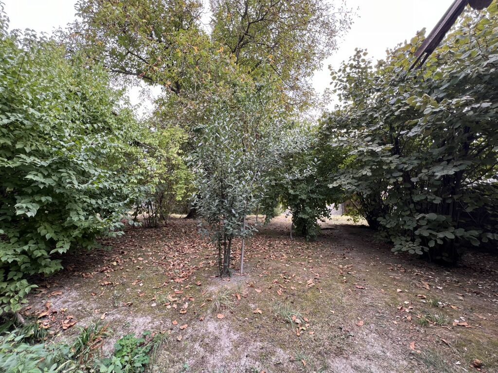 8 sot, Tikinti, Mülkiyyətçi, Kupça (Çıxarış)