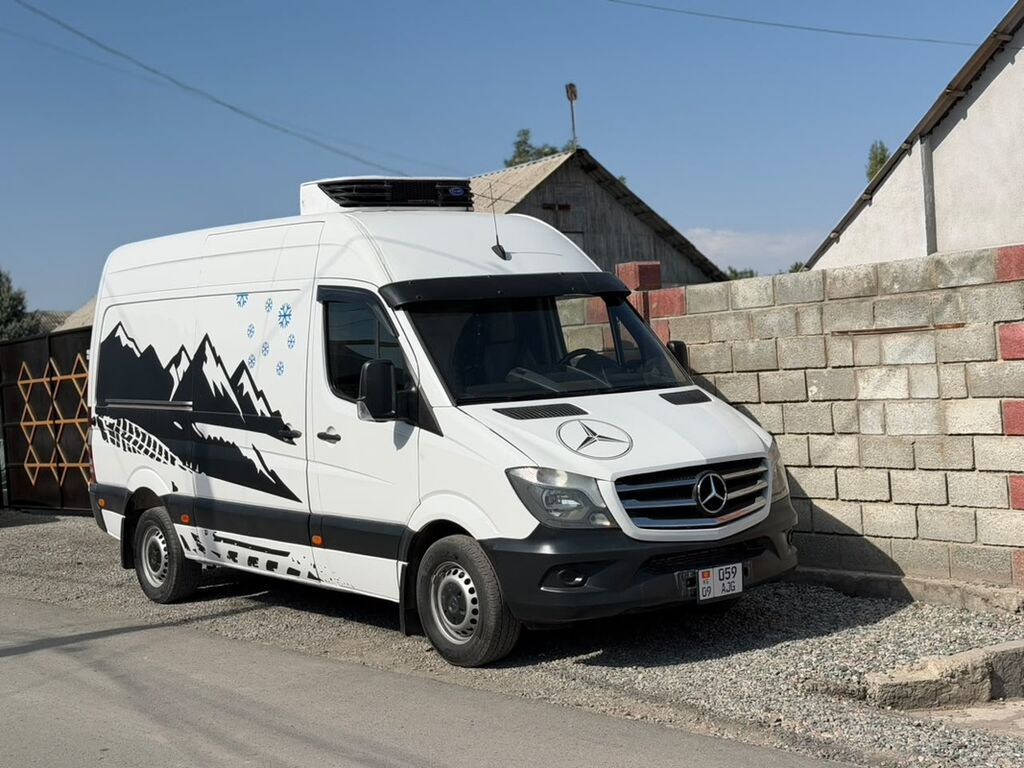 Mercedes-Benz Спринтер: 2009 г., 2.2 л, Механика, Дизель: фото 1