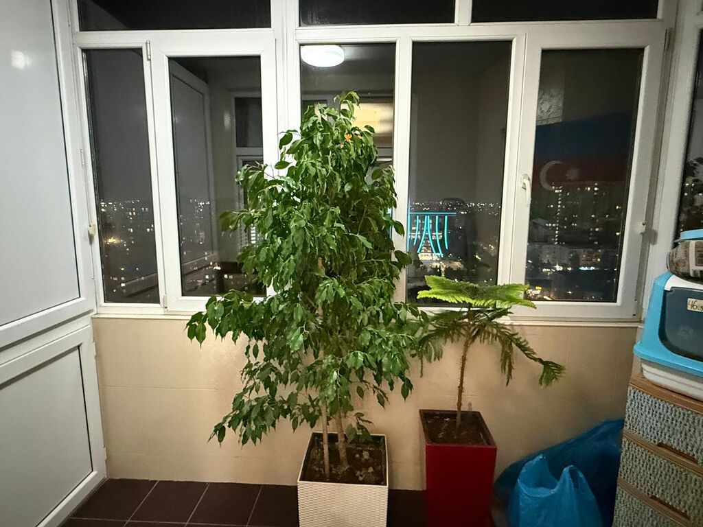 4 otaqlı, Yeni tikili, 154 kv. m