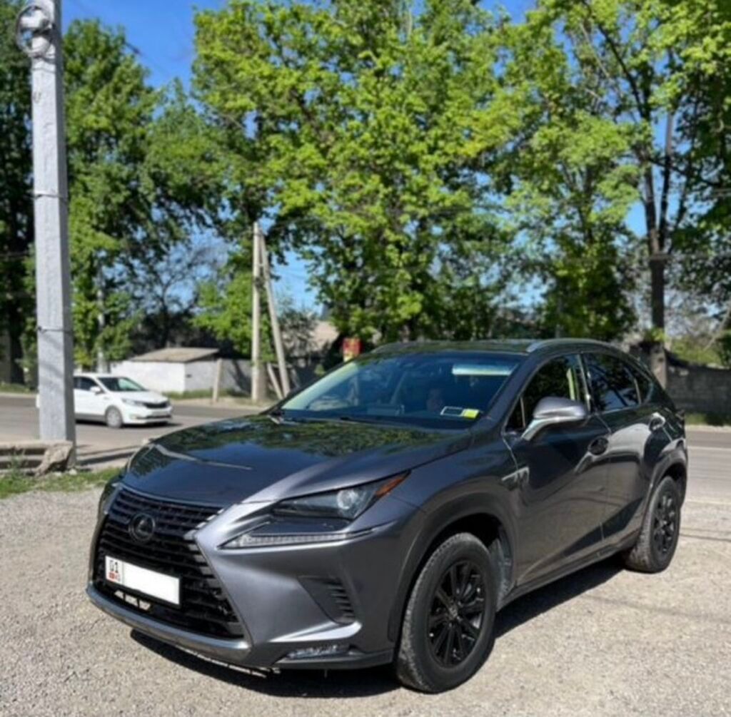 Lexus NX: 2018 г., Автомат, Бензин, Кроссовер: фото 2