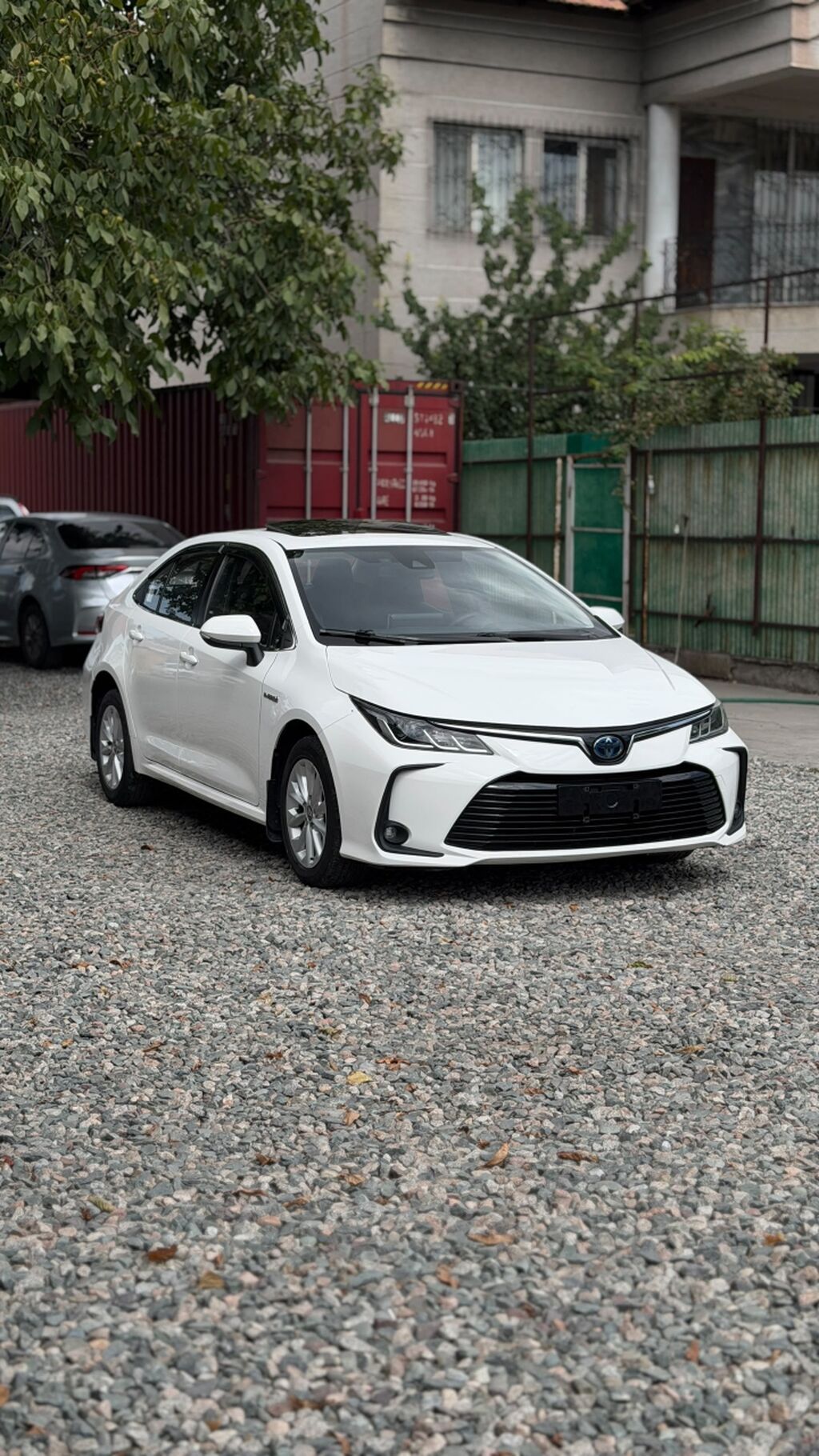 Toyota Corolla: 2019 г., 1.8 л, Вариатор, Гибрид, Седан: фото 2