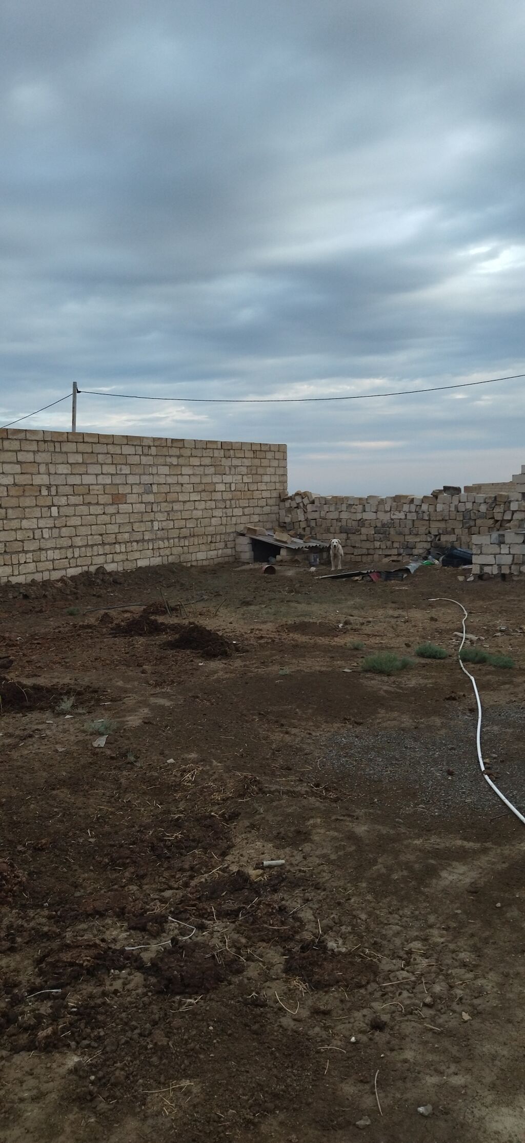 Pirəkəşkül 2 otaqlı, 100 kv. m, Orta təmir