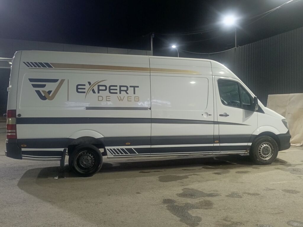 Mercedes-Benz Спринтер: 2012 г., 2.7 л, Автомат, Дизель, Фургон: фото 7