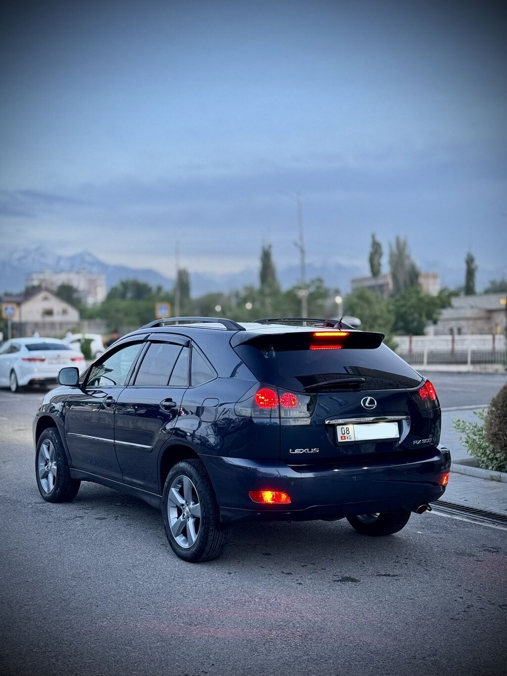 Lexus RX: 2006 г., 3 л, Автомат, Газ, Кроссовер: фото 6