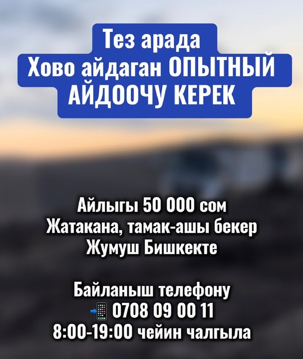 Водители грузового транспорта: Тез арада Хово айдаган ОПЫТНЫЙ АЙДООЧУ КЕРЕК Айлыгы 50 000 сом