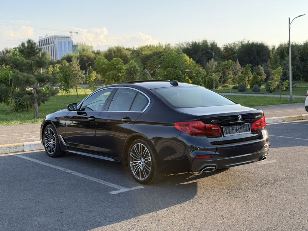 BMW 5 series: 2020 г., 2 л, Автомат, Бензин, Седан: фото 6