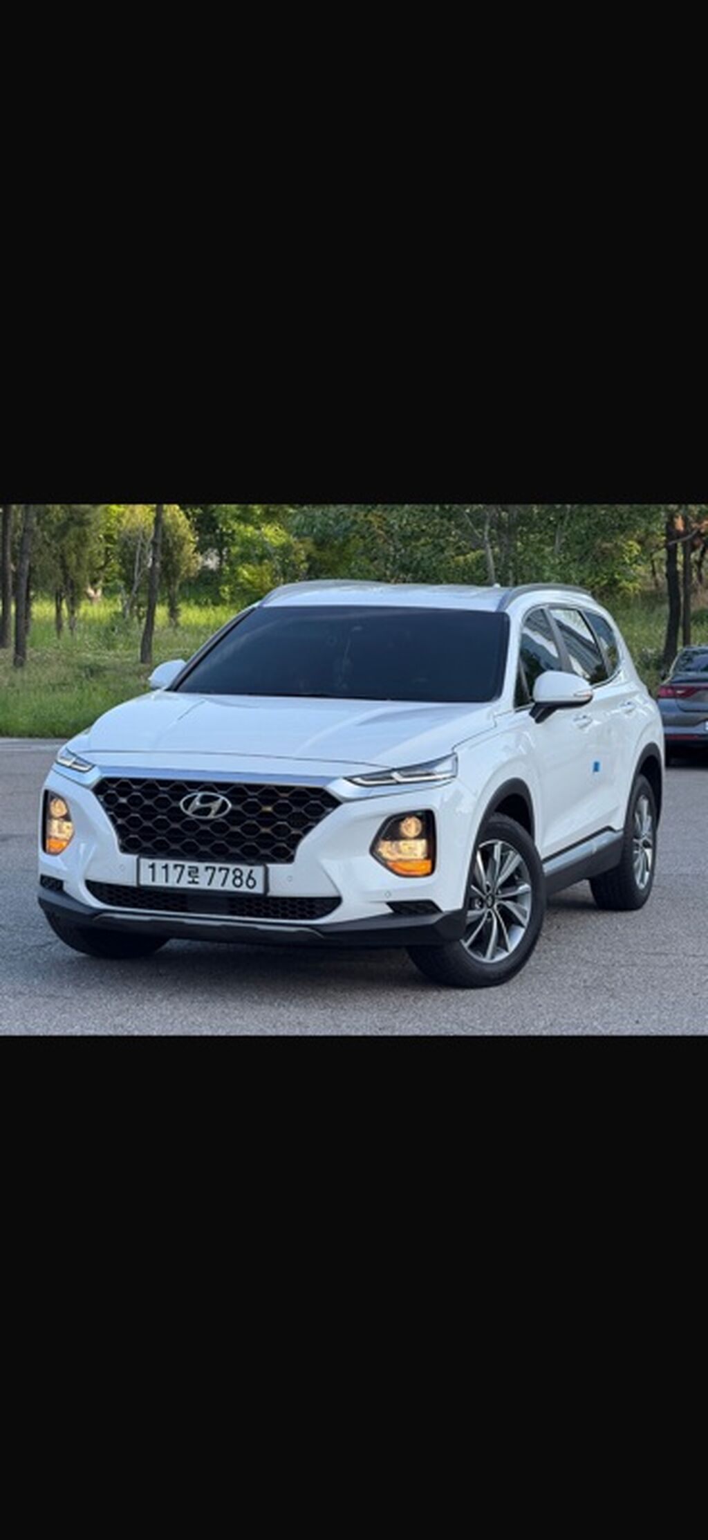 Hyundai Santa Fe: 2019 г., 2 л, Автомат, Дизель, Кроссовер: фото 2