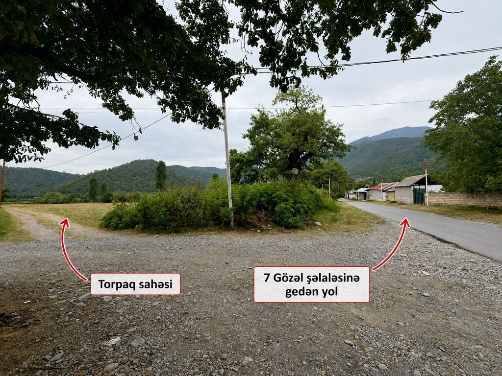 51 sot, Kənd təsərrüfatı, Mülkiyyətçi, Kupça (Çıxarış), Texniki pasport
