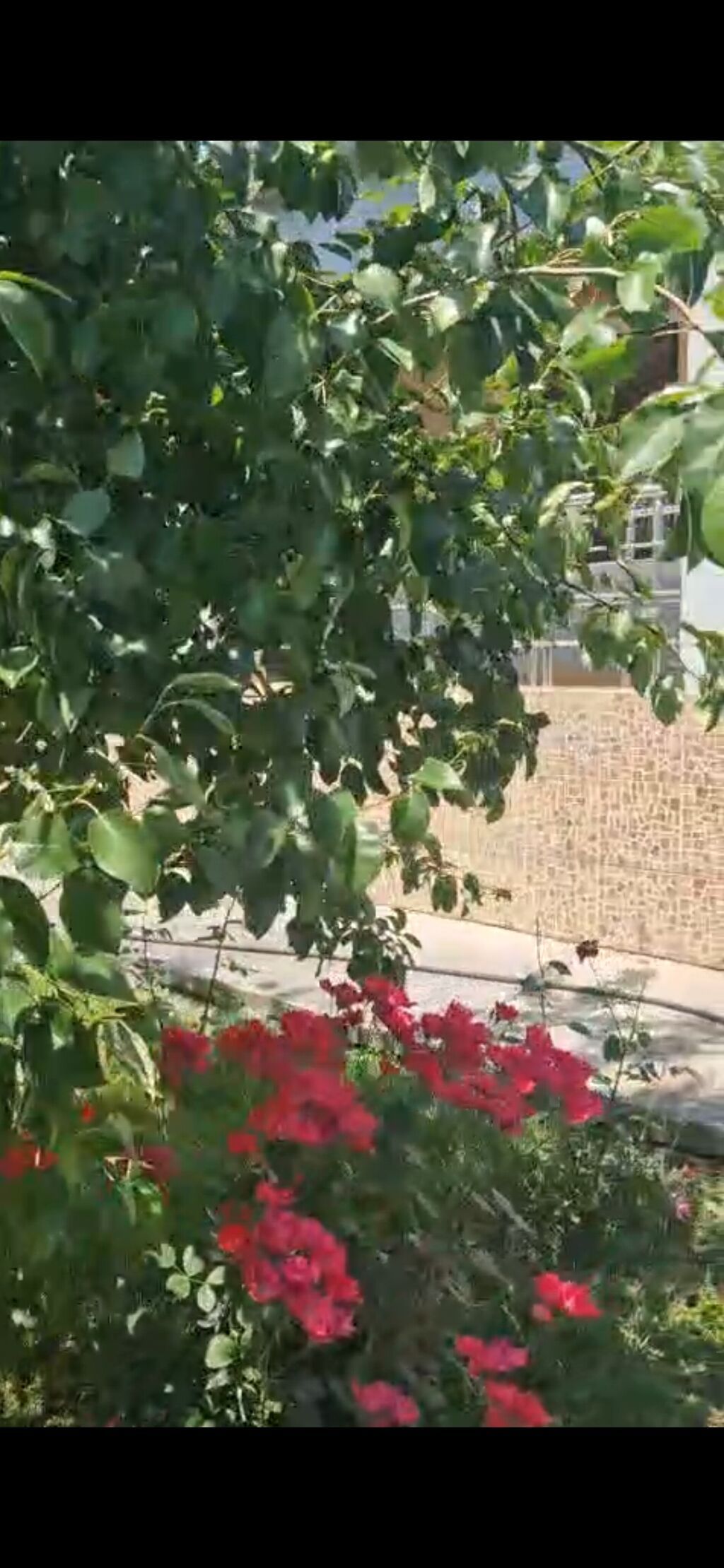 3 otaqlı, 115 kv. m, Yeni təmirli
