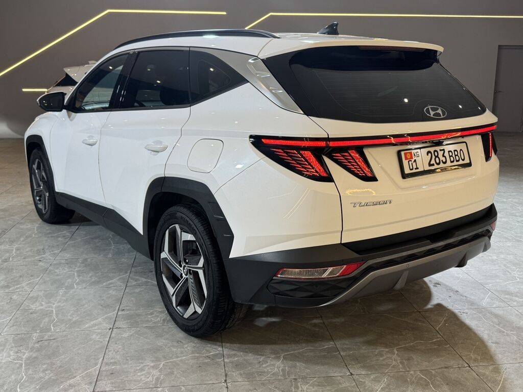 Hyundai Tucson: 2020 г., 1.6 л, Робот, Бензин, Кроссовер: фото 6