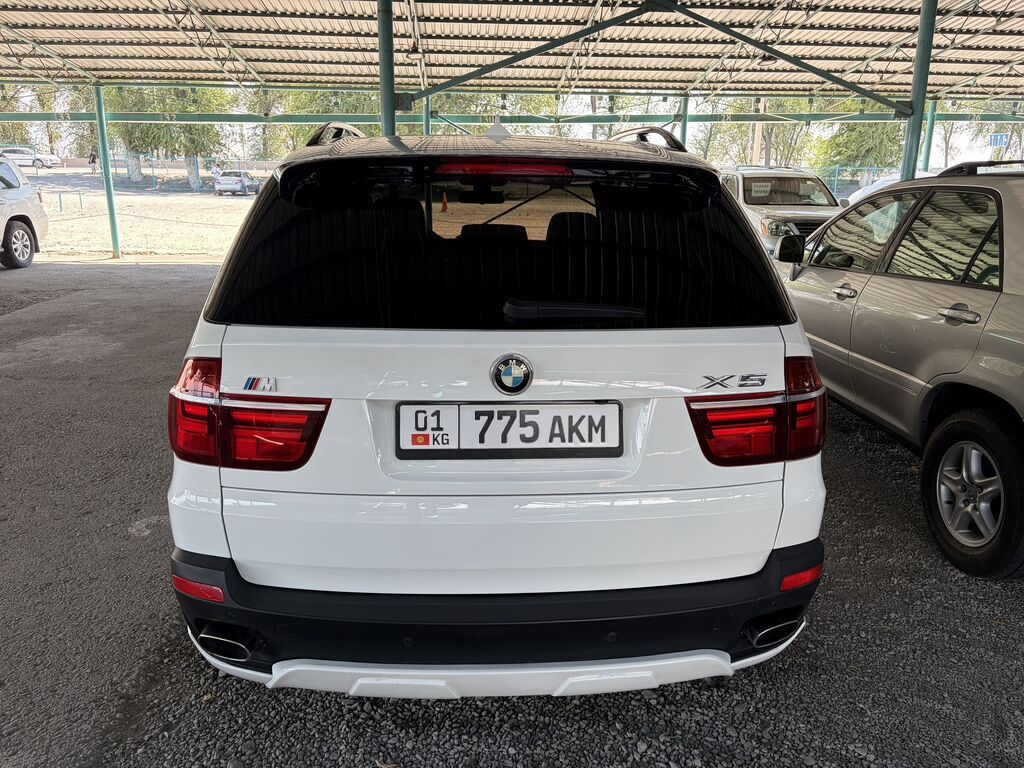 BMW X5: 2009 г., 3 л, Автомат, Бензин, Кроссовер: фото 6