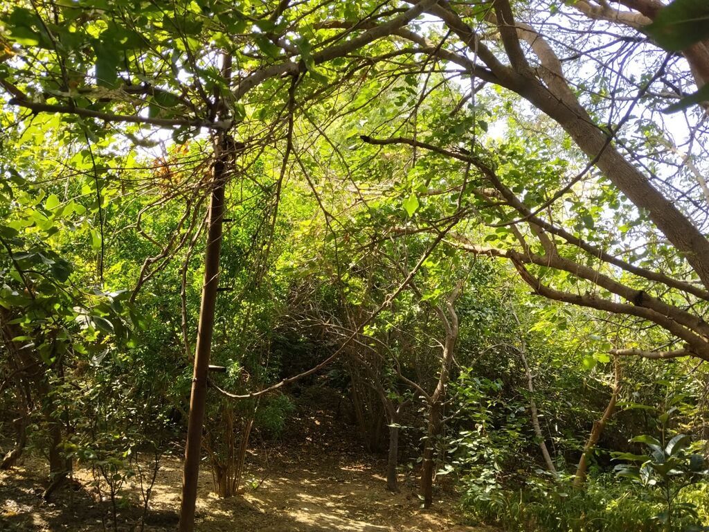 Ramana qəs. 3 otaqlı, 80 kv. m, Kredit yoxdur, Orta təmir